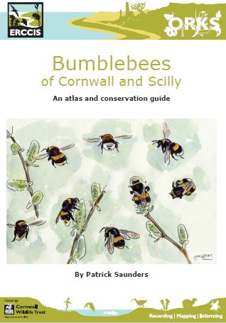 bumble book